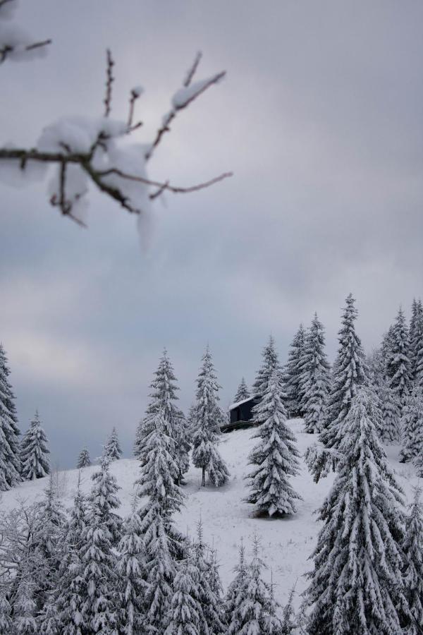 Chalet Sihastru In Haita Land *